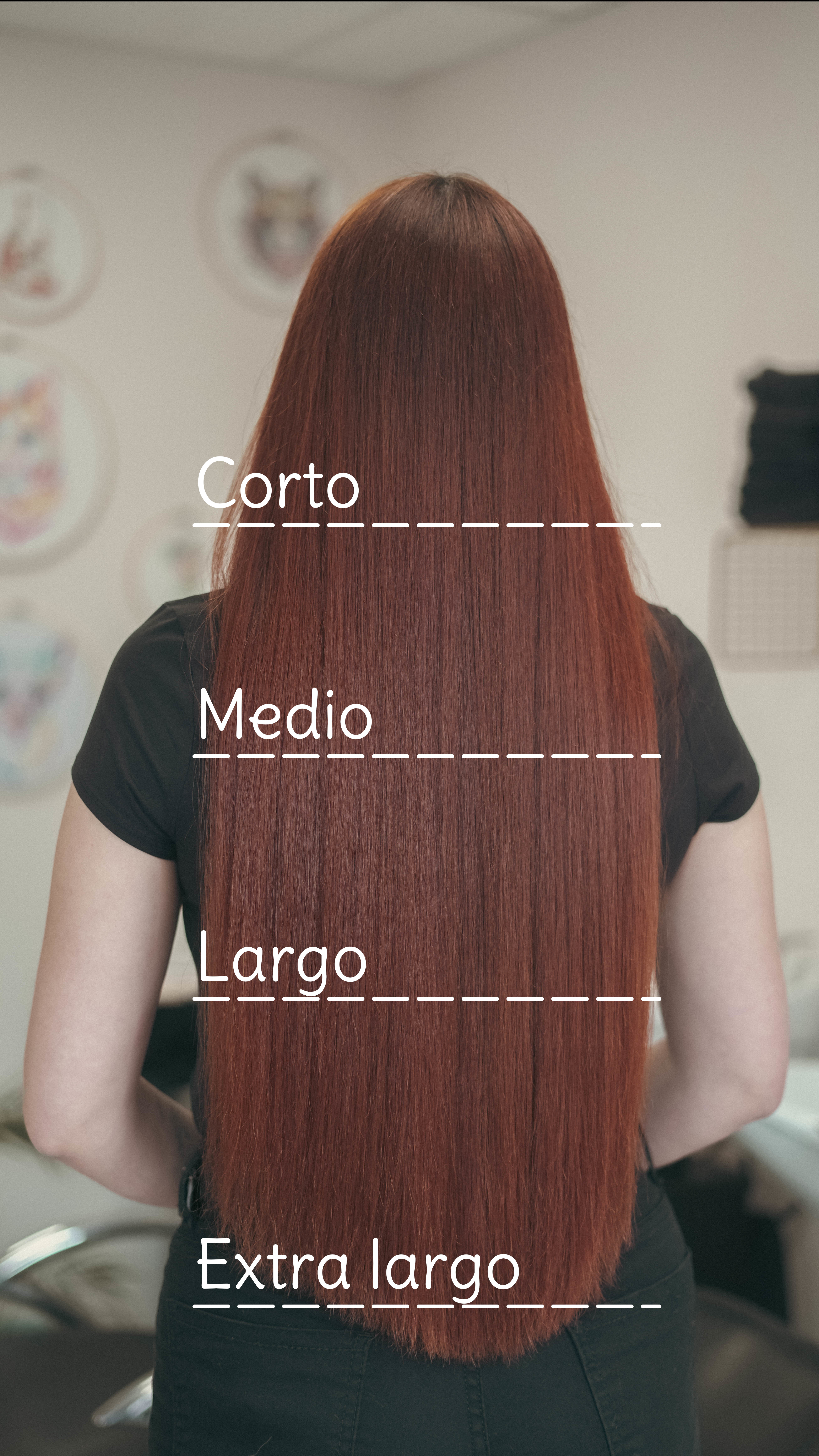 Modelo de espaldas con marcadores de Corto, Medio, Largo y Extra largo