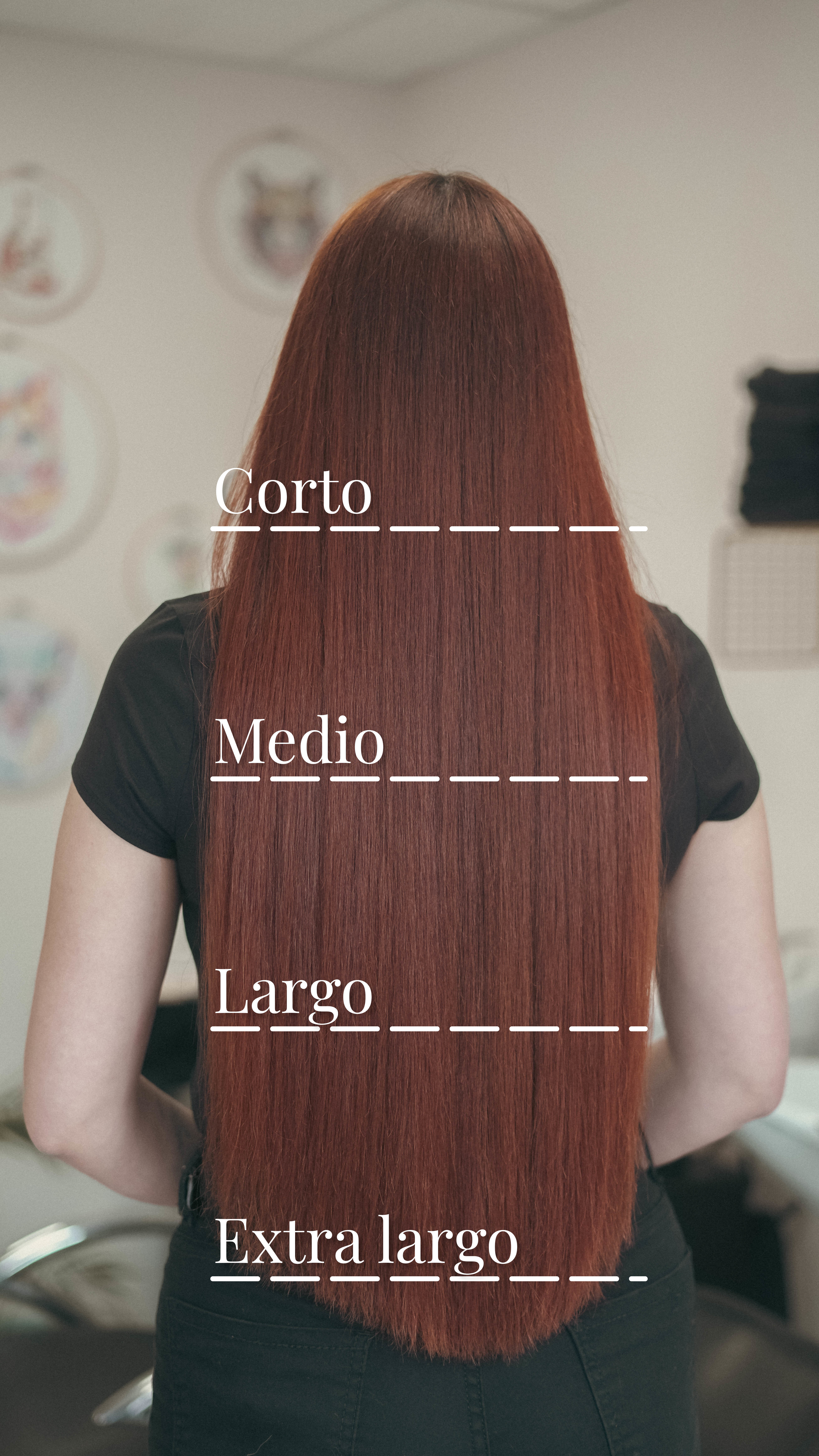 Referencias de largo de cabello